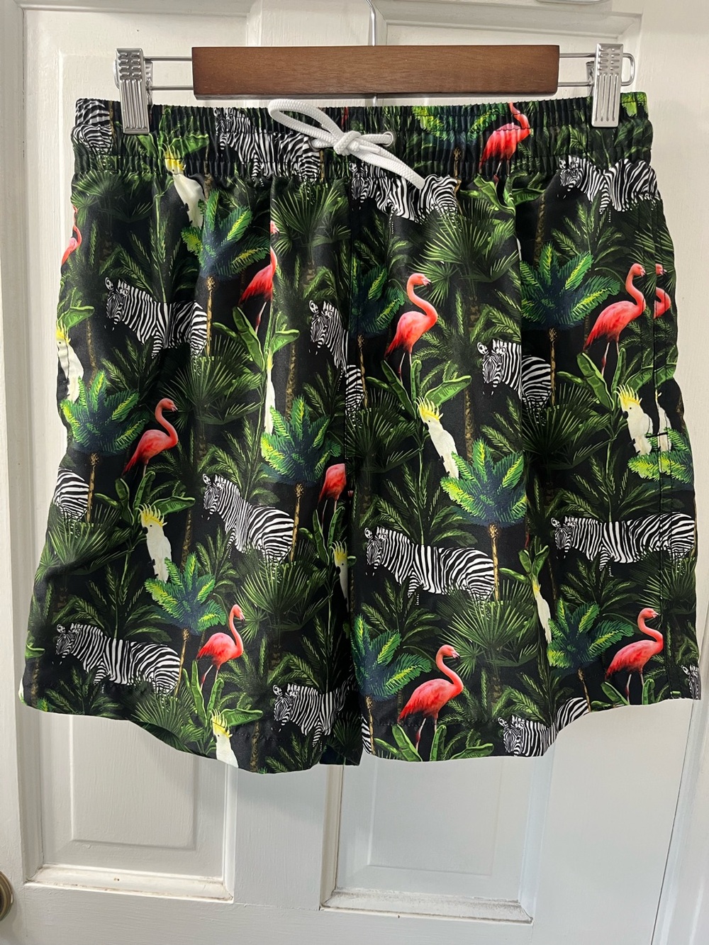 Trunks Men's Black Tropical Print Swim Trunks with Flamingo and Zebra Motif.